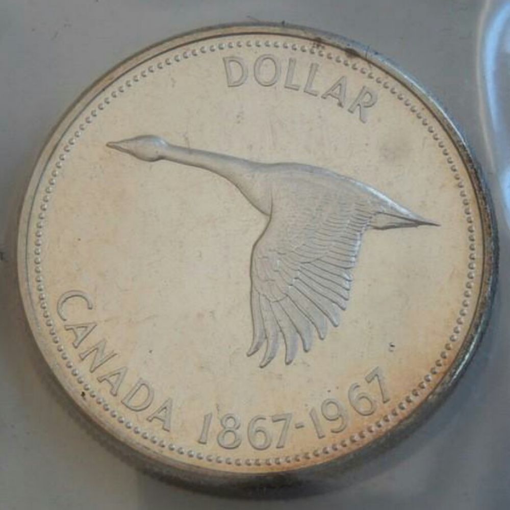 Looking-To-Confirm-Grade-Of-1967-Possible-Diving-Goose?